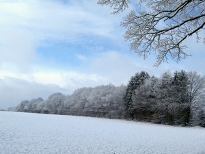 Schneelandschaft mit Bäumen und blauem Himmel